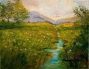 Barbara Pirkle - Field of Queen Anne