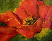 Barbara Pirkle - Sunlit Poppy